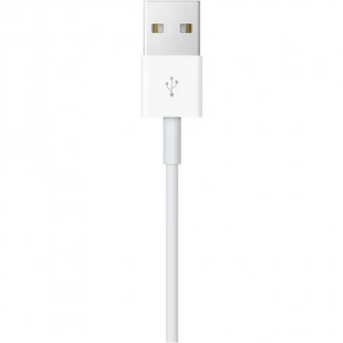 Apple Watch Magnetic Charging Cable фото 1 Apple Watch Magnetic Charging Cable фото 1